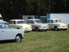 2. Murmeltreffen 2011 in Borkheide