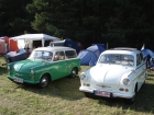 2. Murmeltreffen 2011 in Borkheide